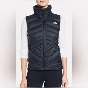The North Face Quilted Aconcagua 550 Goose Down Quilted Puffer Vest Winter